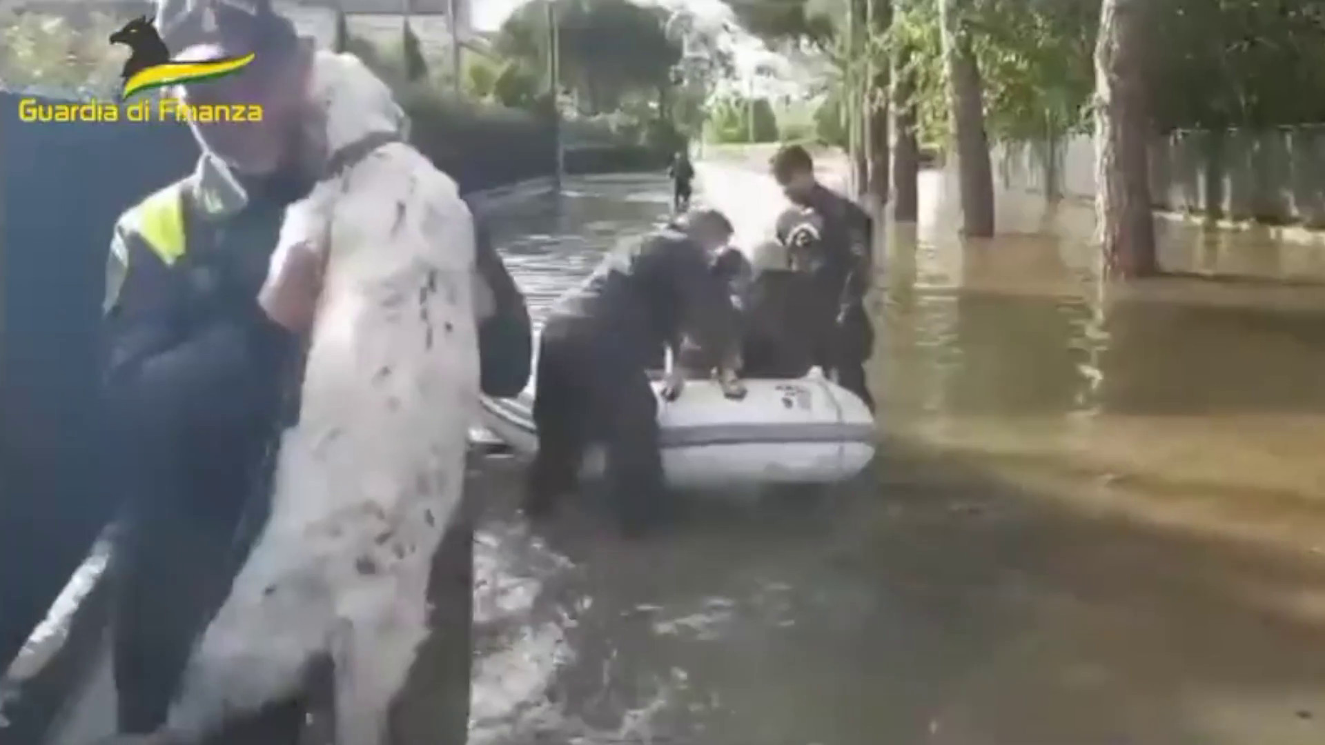 Maltempo in Emilia Romagna, Gdf salva i cani travolti dall'alluvione
