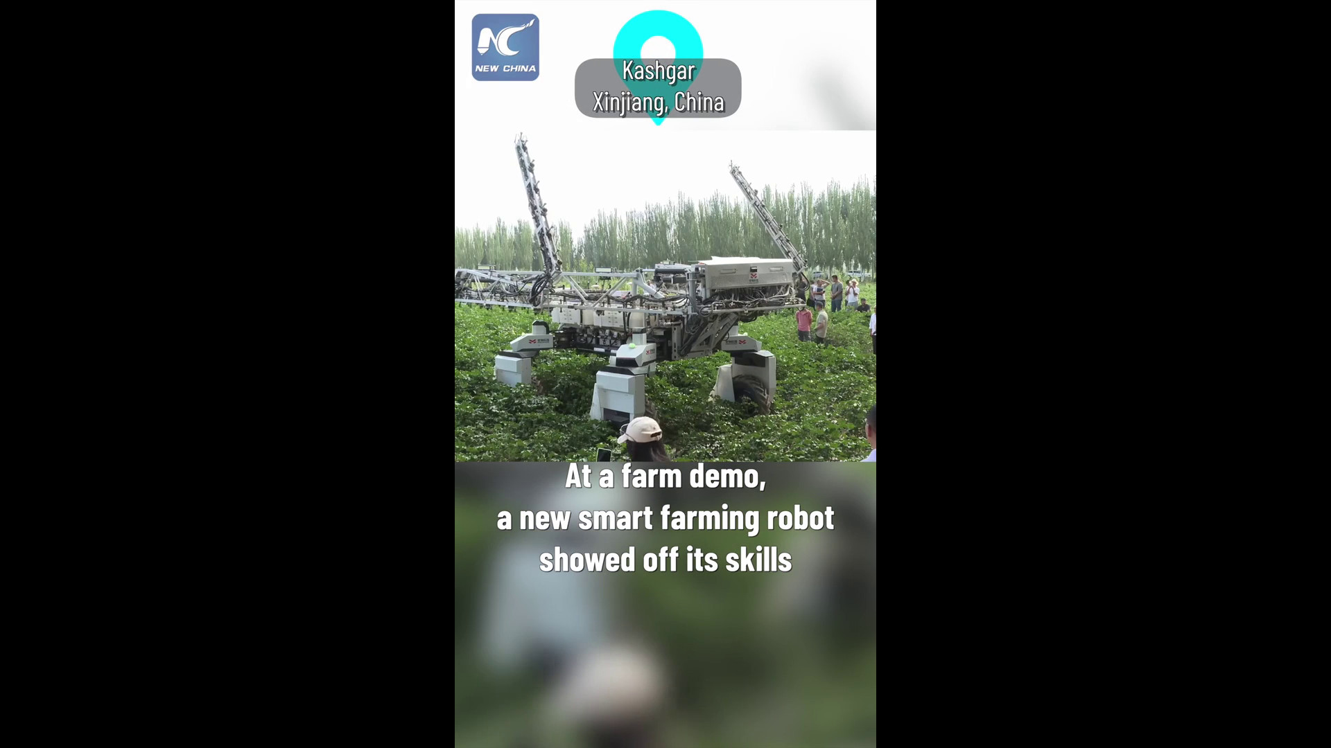 Cina, robot aiuta i coltivatori in un'azienda agricola nello Xinjiang
