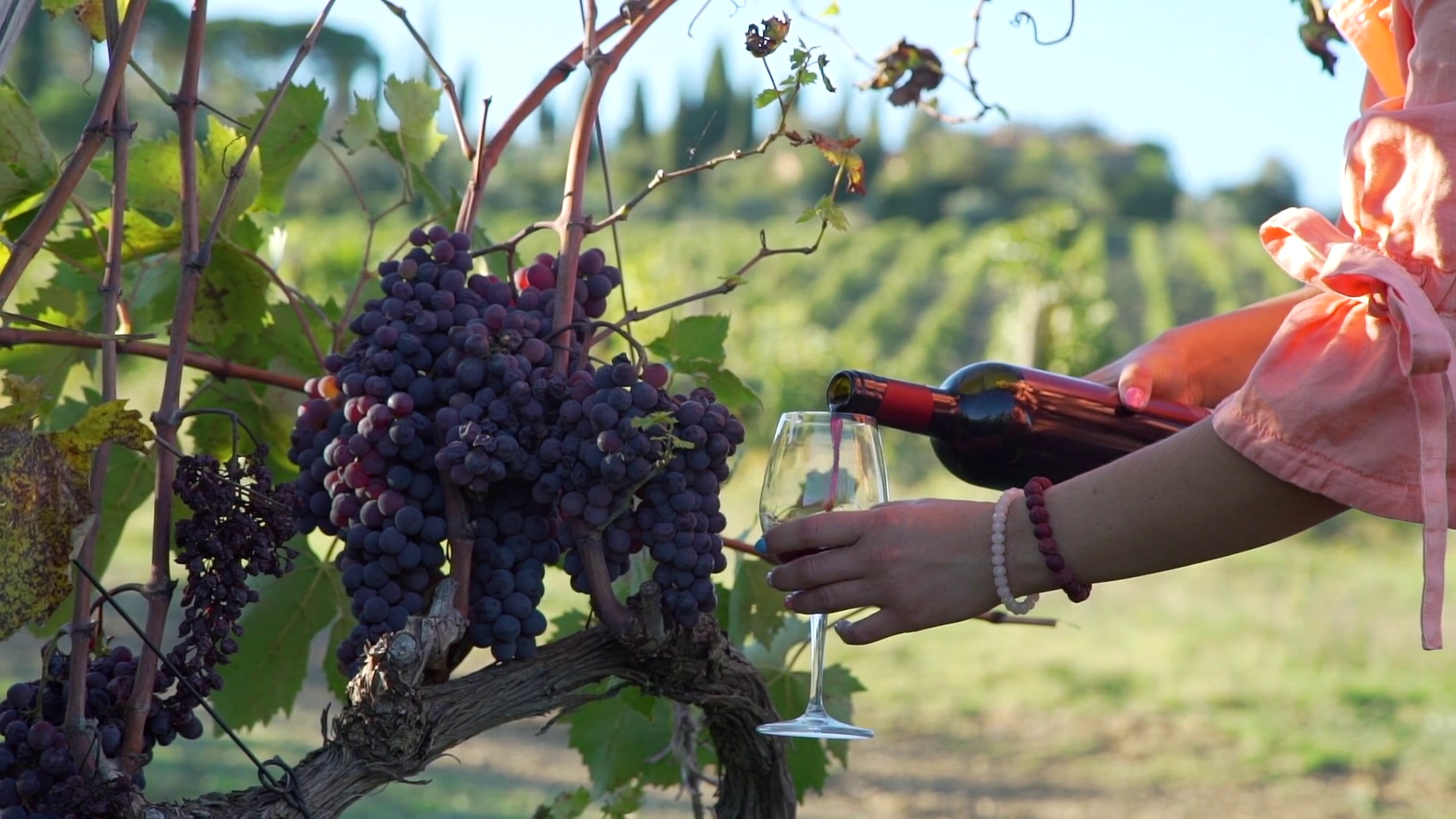 Vino e pasta trainano il Made in Italy nel mondo