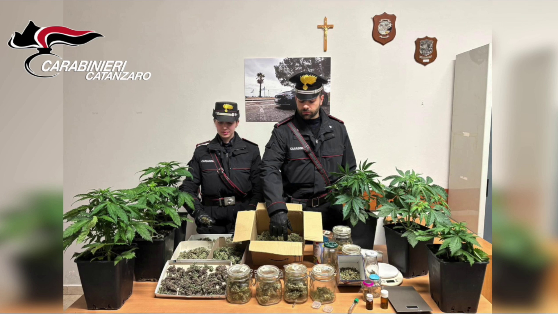 Serre in casa per coltivare marijuana, arrestato un 55enne nel Vibonese