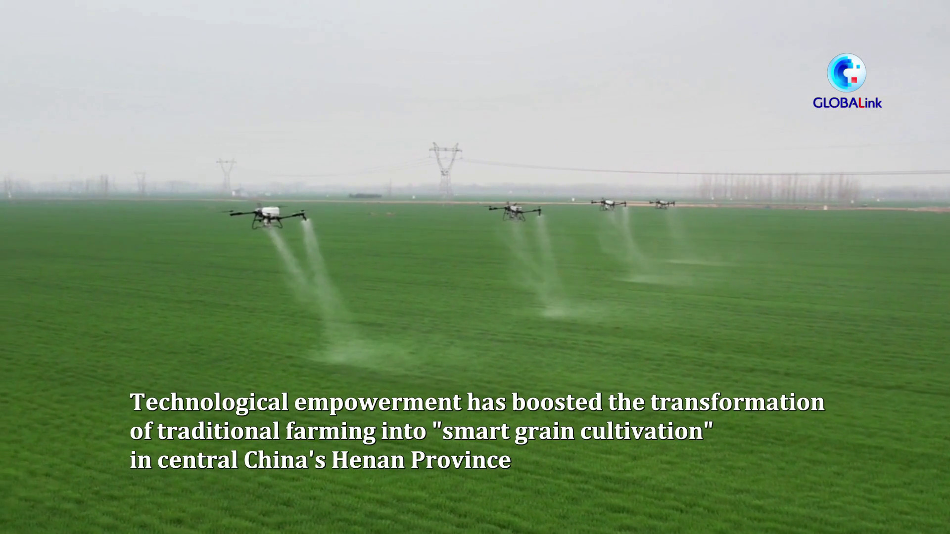 Cina: una fattoria smart nell'Henan trasforma la coltivazione dei cereali