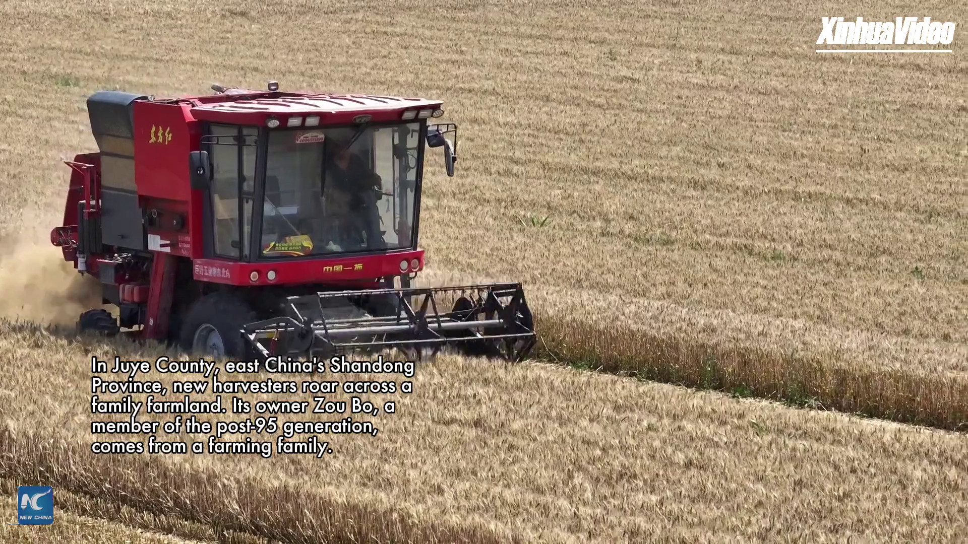 Cina: giovane imprenditore rinnova l'agricoltura nell'est