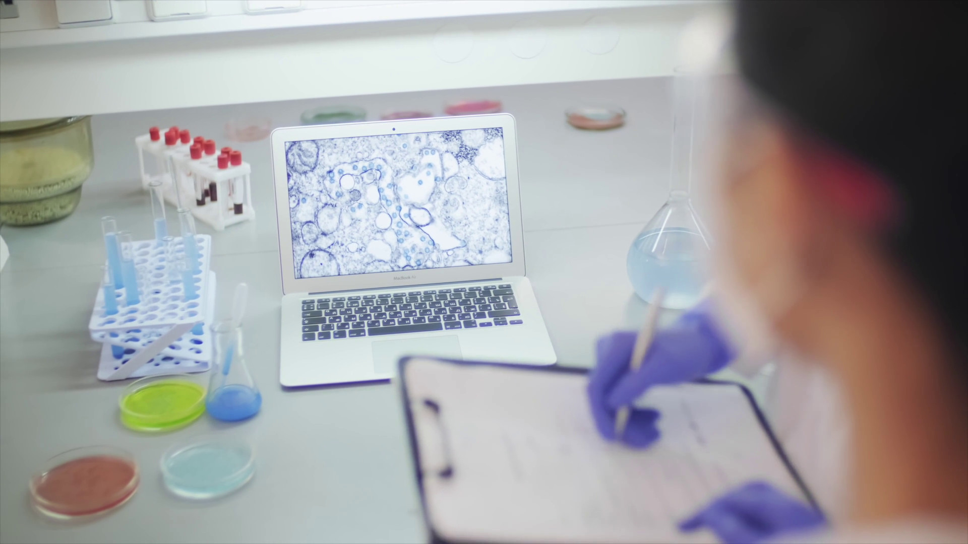 Accademici e scienziati all'UE 