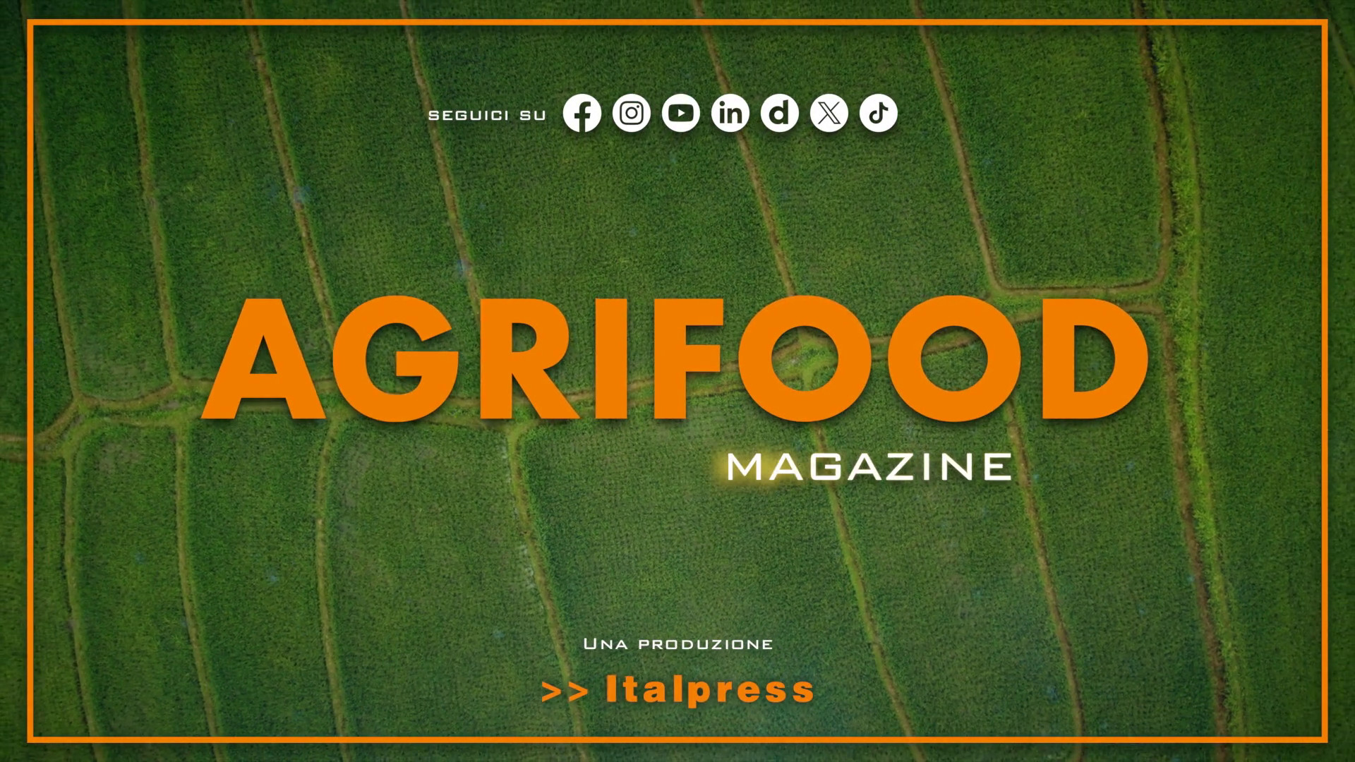 Agrifood Magazine - 17/7/2024