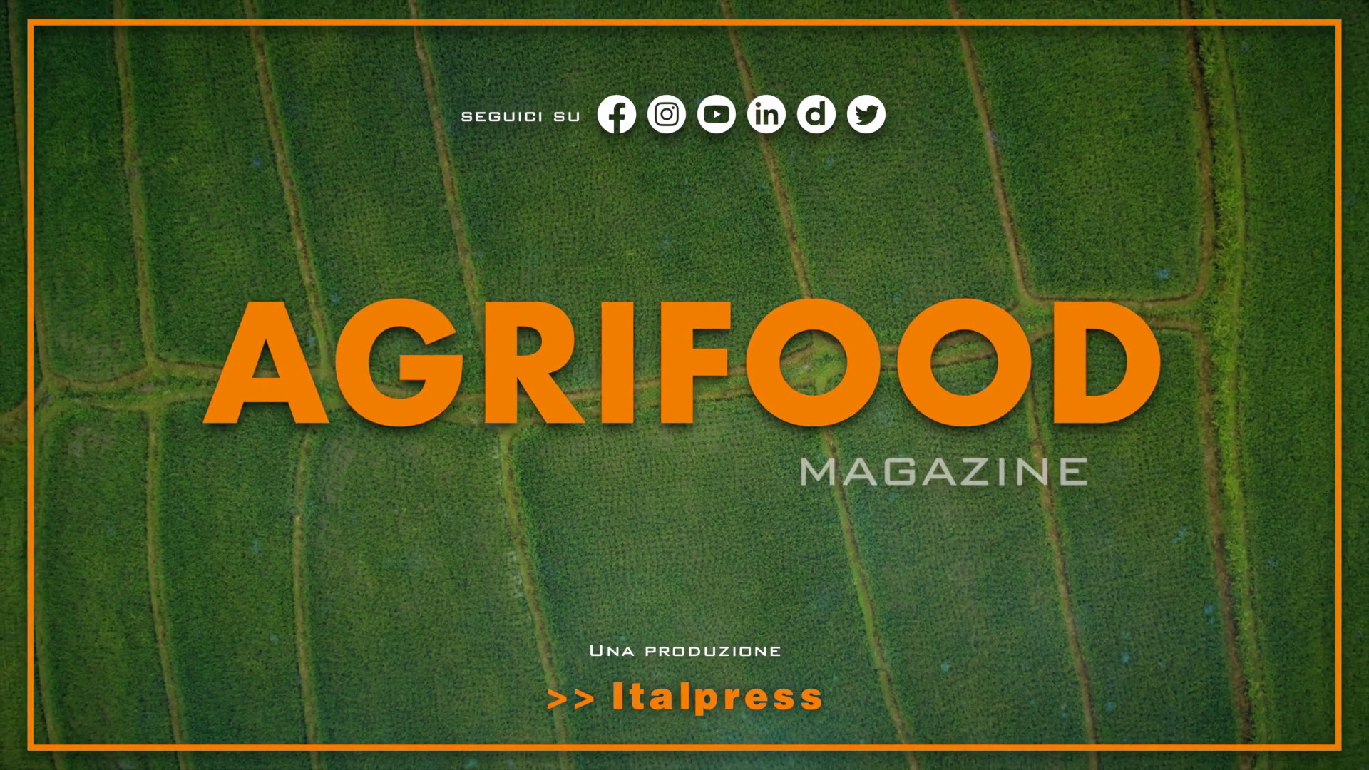 Agrifood Magazine - 27/12/2023