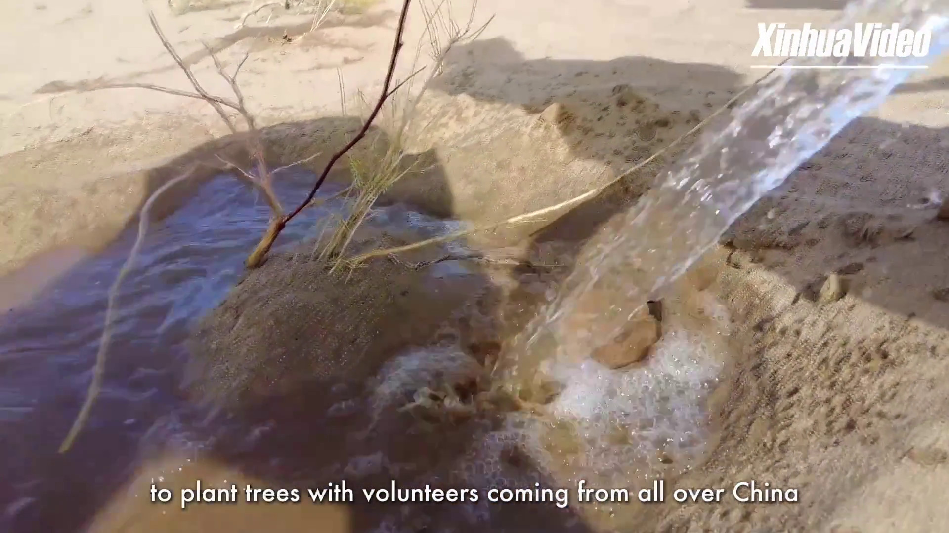 Cina, 41 mila giovani volontari impegnati dal 2024 contro la desertificazione