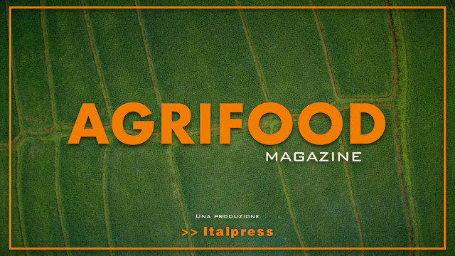 Agrifood Magazine - 13/4/2022
