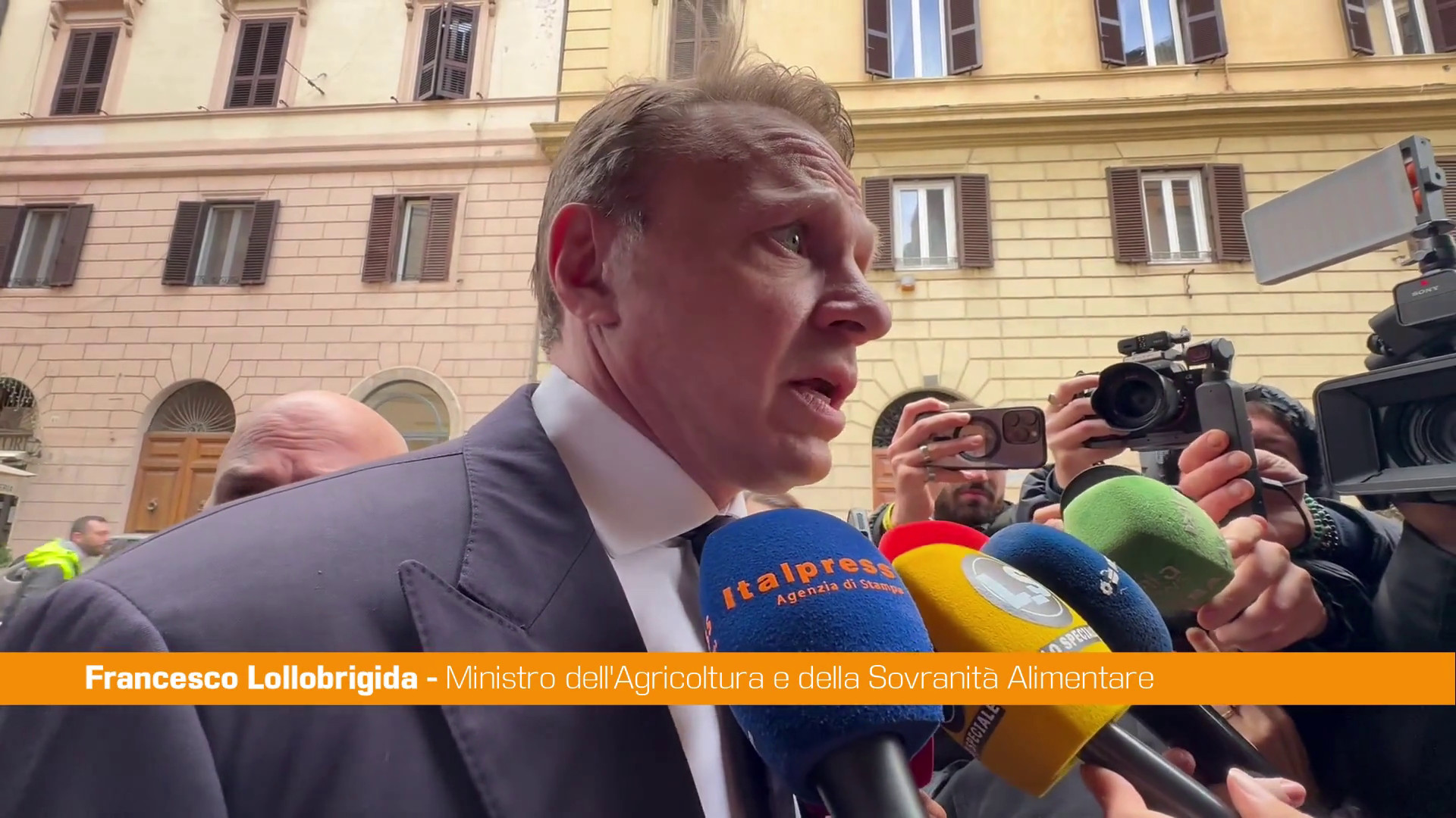 Referendum, Lollobrigida 