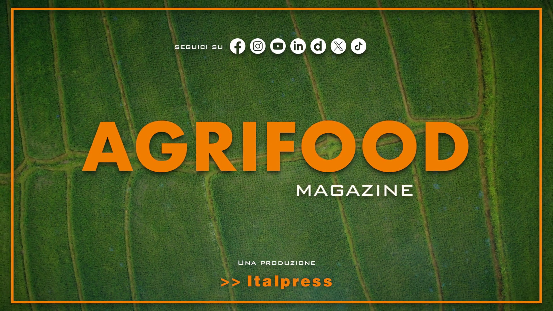 Agrifood Magazine – 25/12/2024