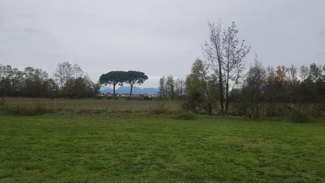 A Udine nasce un bosco urbano da oltre 3 mila piante