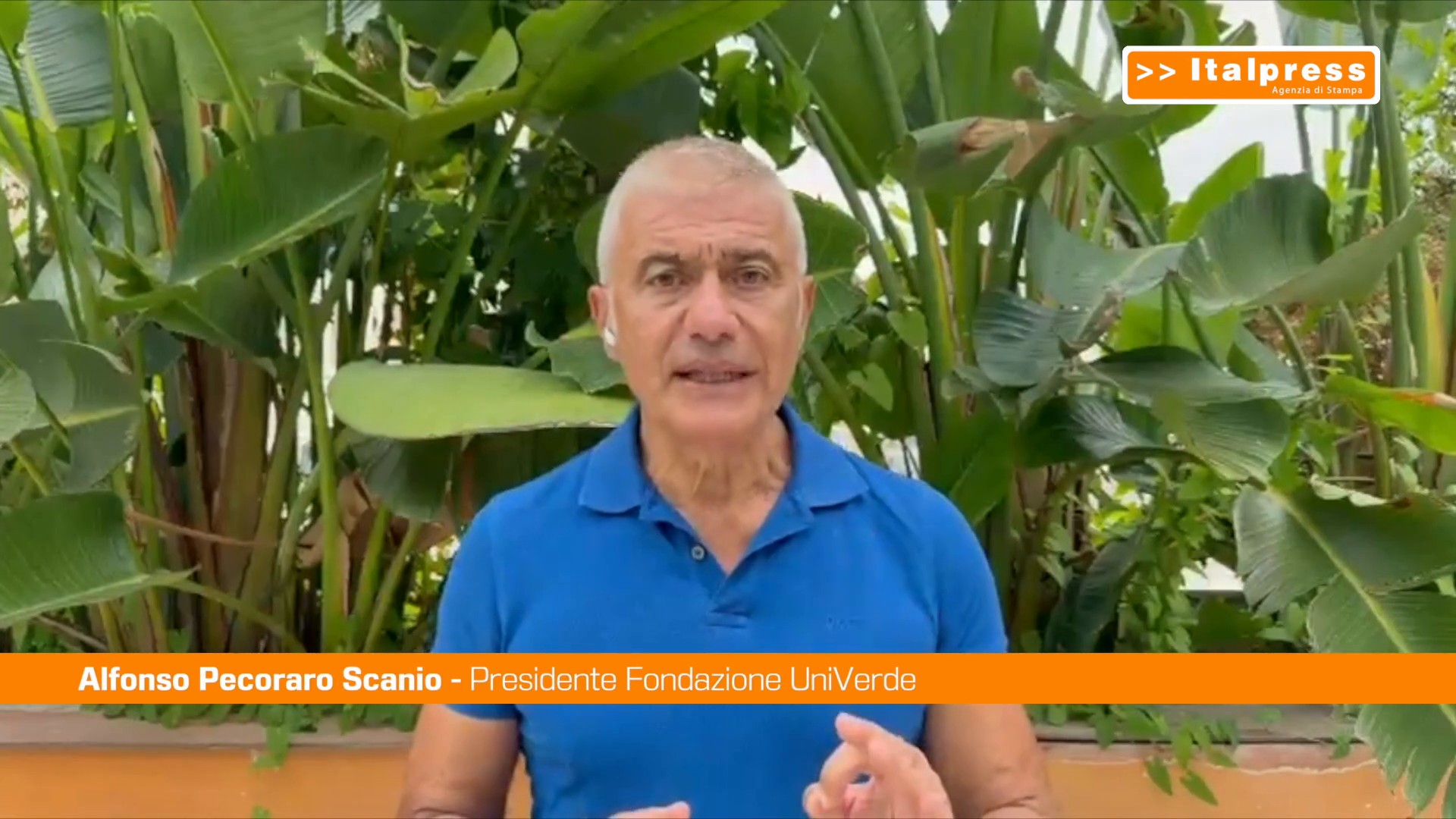 Pecoraro Scanio 