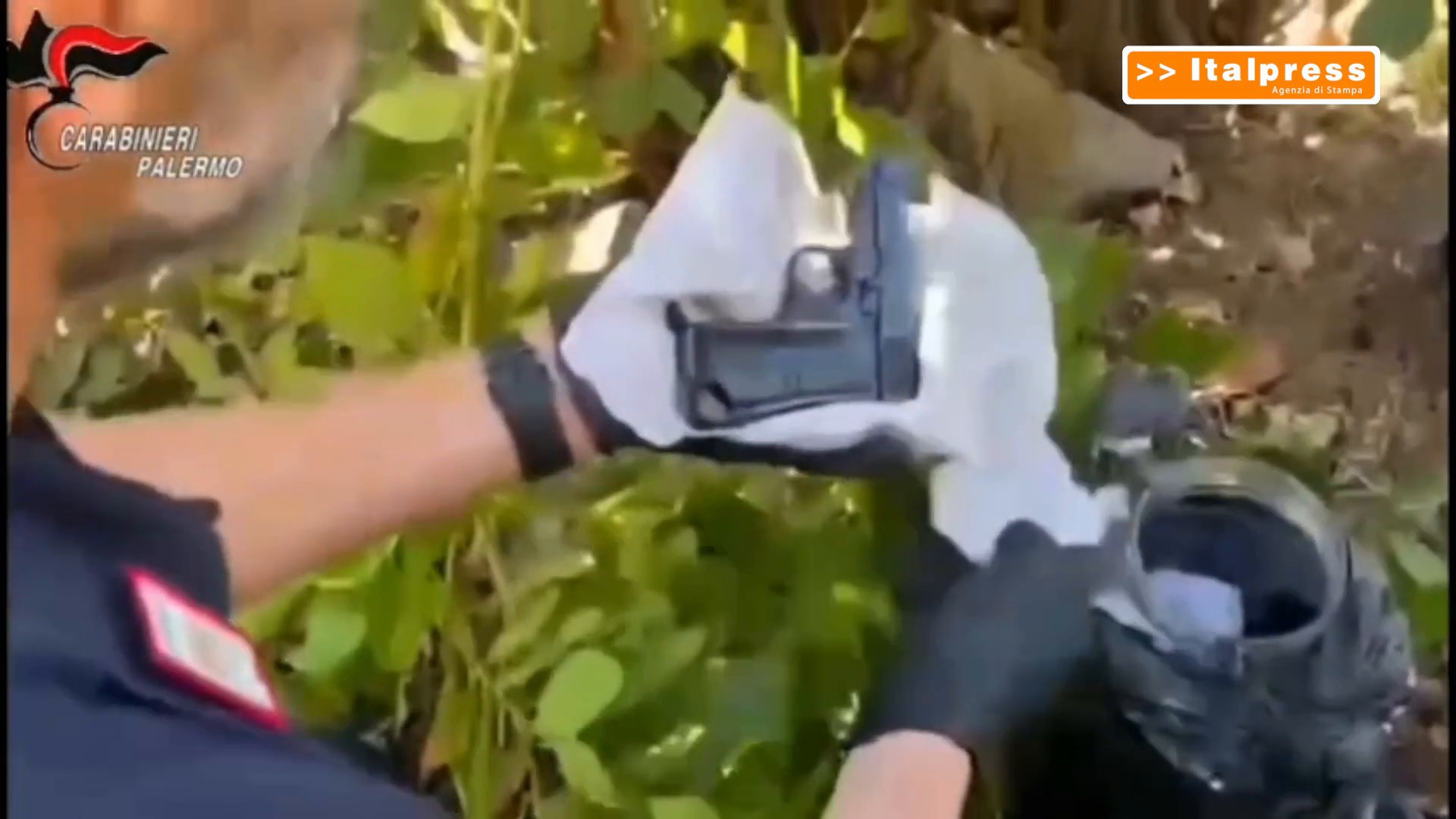 Droga e armi tra le piante nel palermitano, fiuto cane incastra 50enne