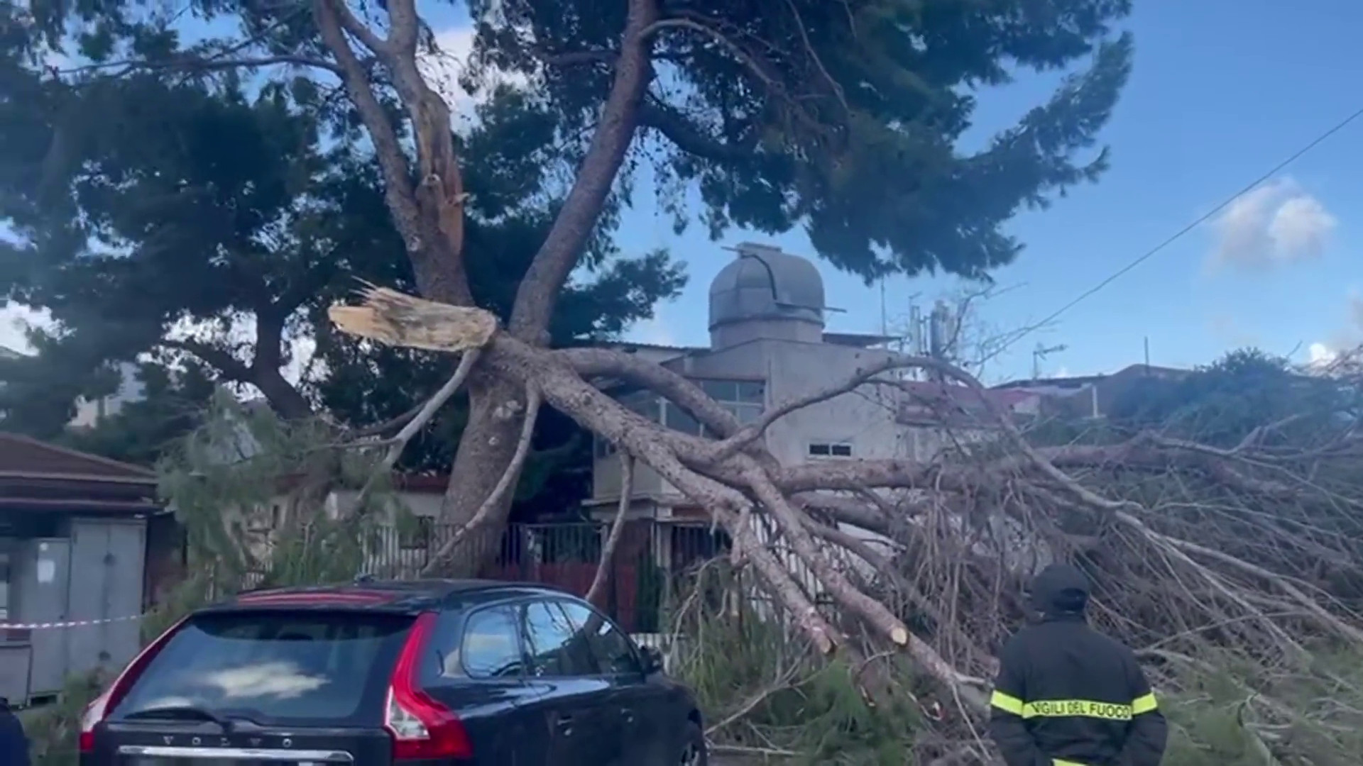 Maltempo a Palermo, così il vento spezza un grosso albero