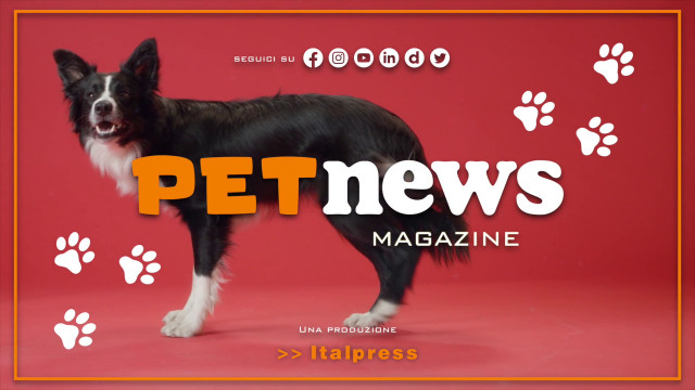 PetNews Magazine – 6/6/2023