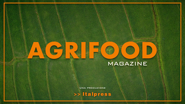 Agrifood Magazine - 29/6/2022