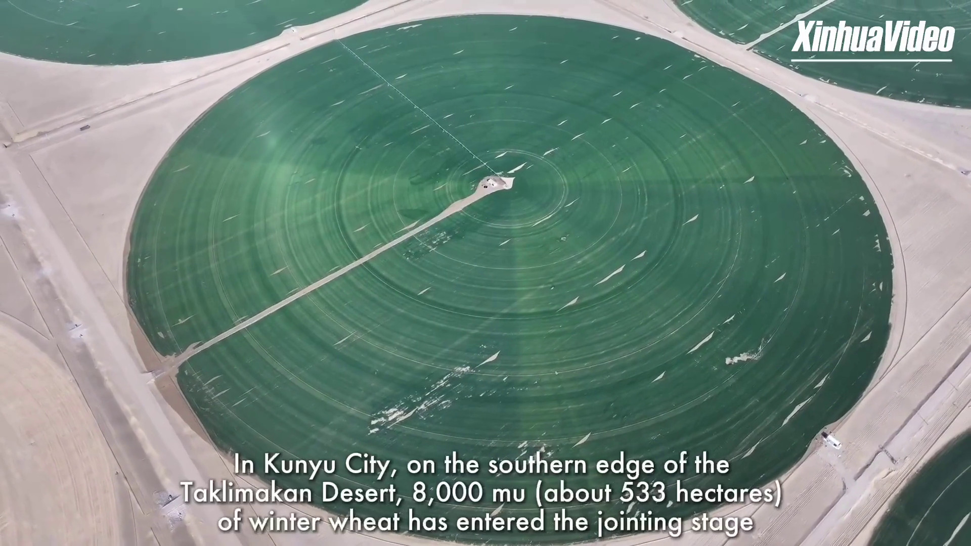 Cina, nello Xinjiang campi verdi circolari ai margini del deserto