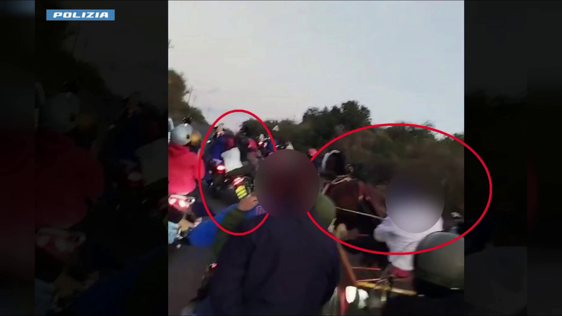 Corsa clandestina di cavalli nel catanese, denunciati due fantini