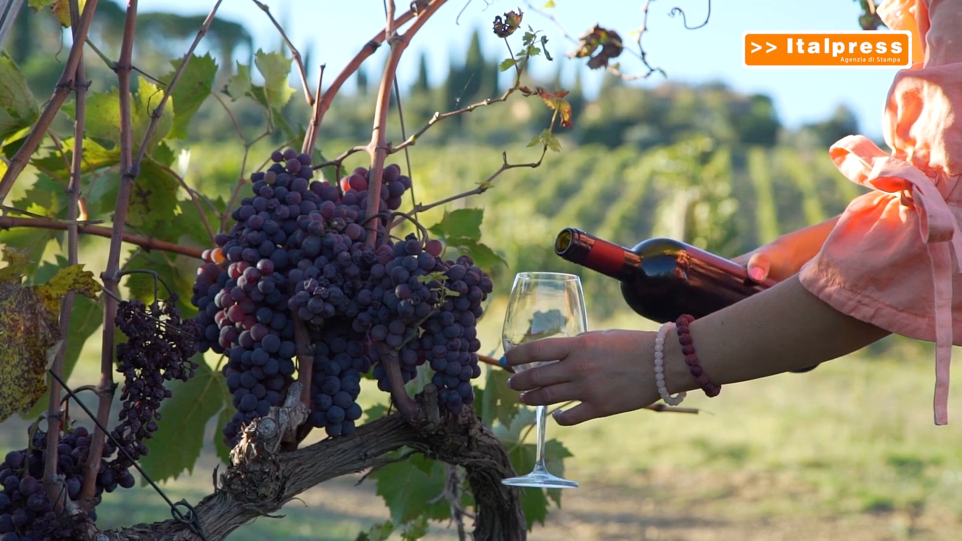 Vino italiano, riparte l’export extraeuropeo