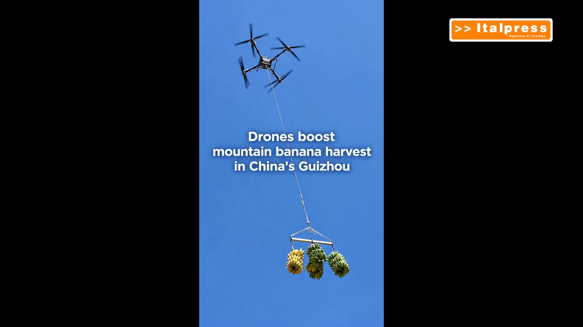 Cina, i droni utilizzati per la raccolta delle banane nelle montagne del Guizhou