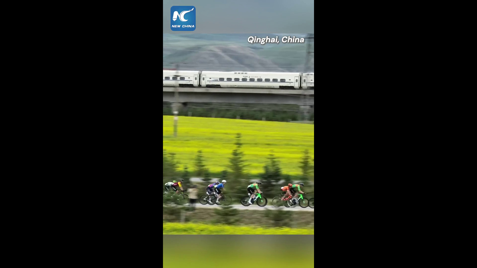 Cina: Tour of Magnificent Qinghai fonde velocità e panorami mozzafiato