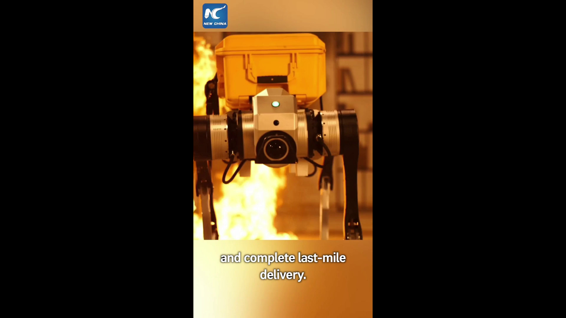 Cina, da Agiquad una nuova strategia per i robot a quattro zampe