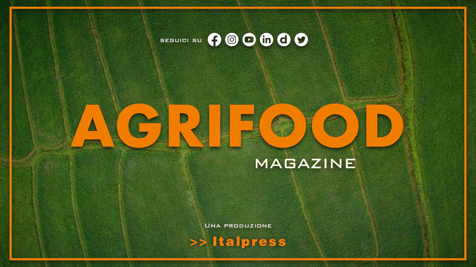 Agrifood Magazine - 13/9/2023