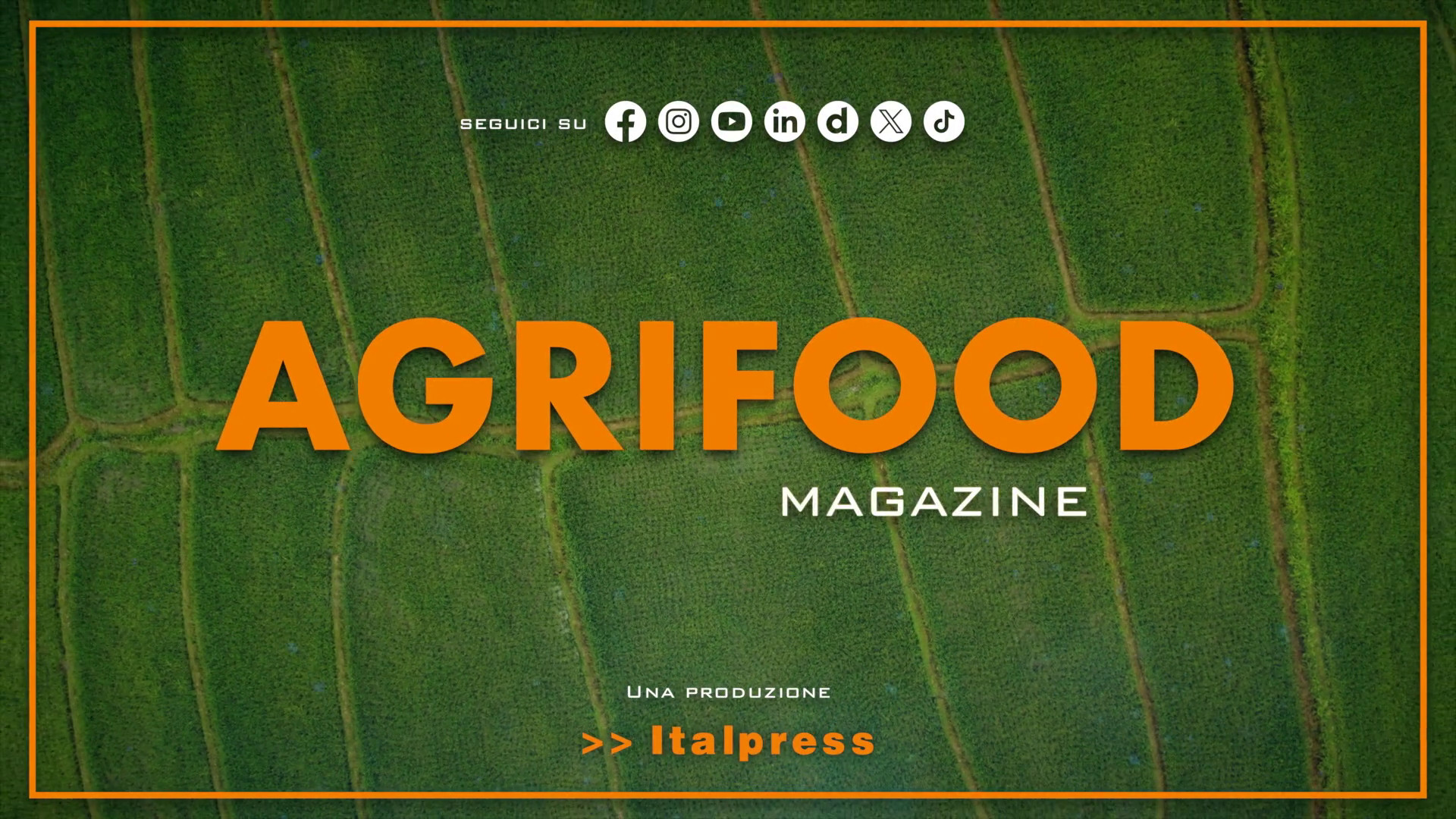 Agrifood Magazine – 29/5/2024