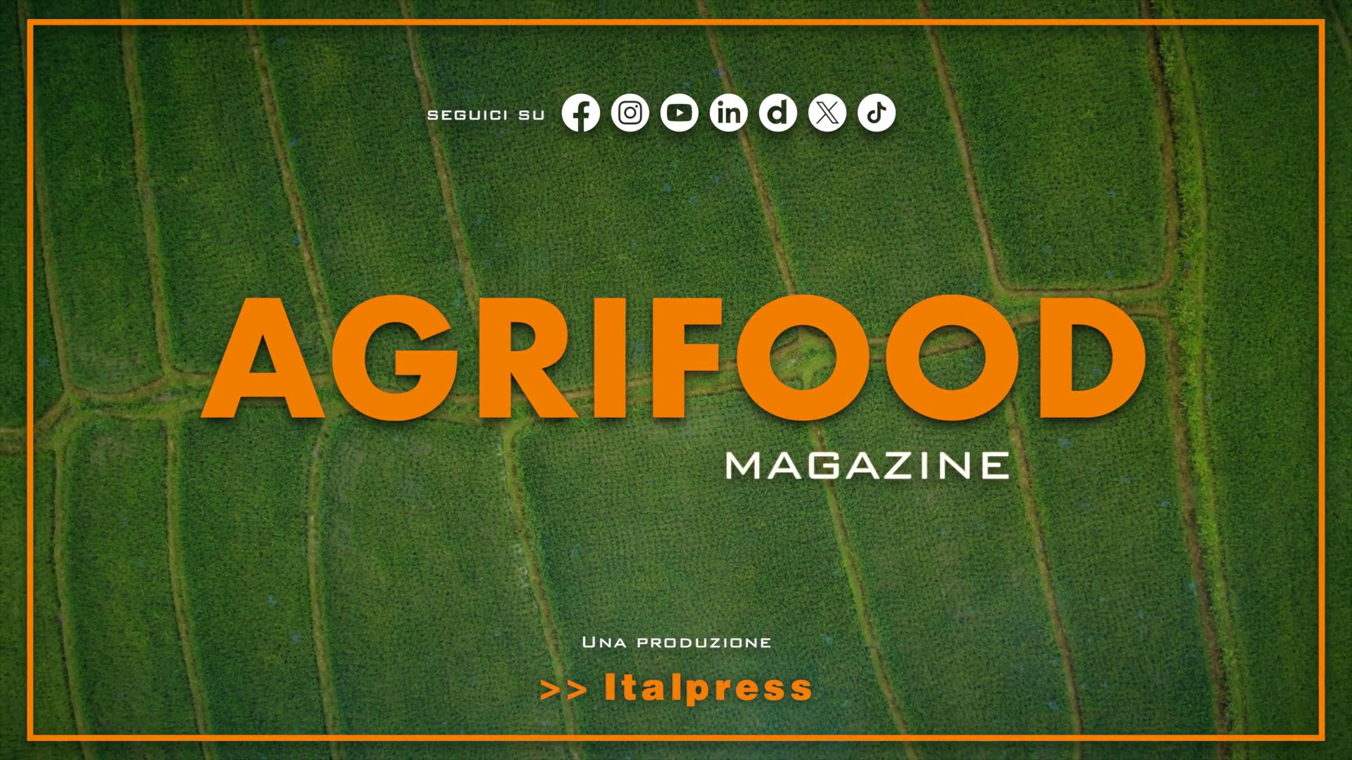 Agrifood Magazine - 29/5/2024