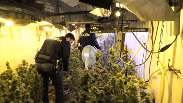 Bunker con 119 piante e 75 chili marijuana, un arresto nel siracusano