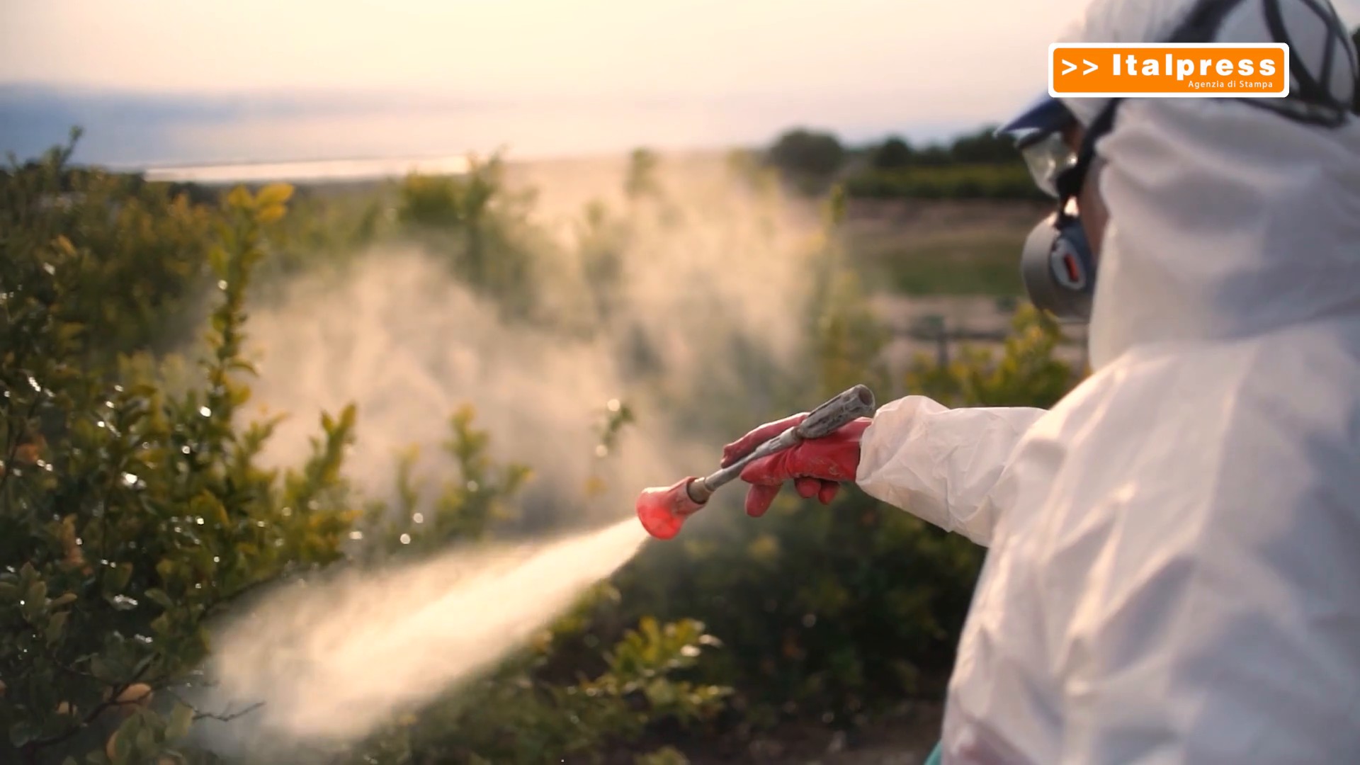 Pesticidi, allarme in Europa 