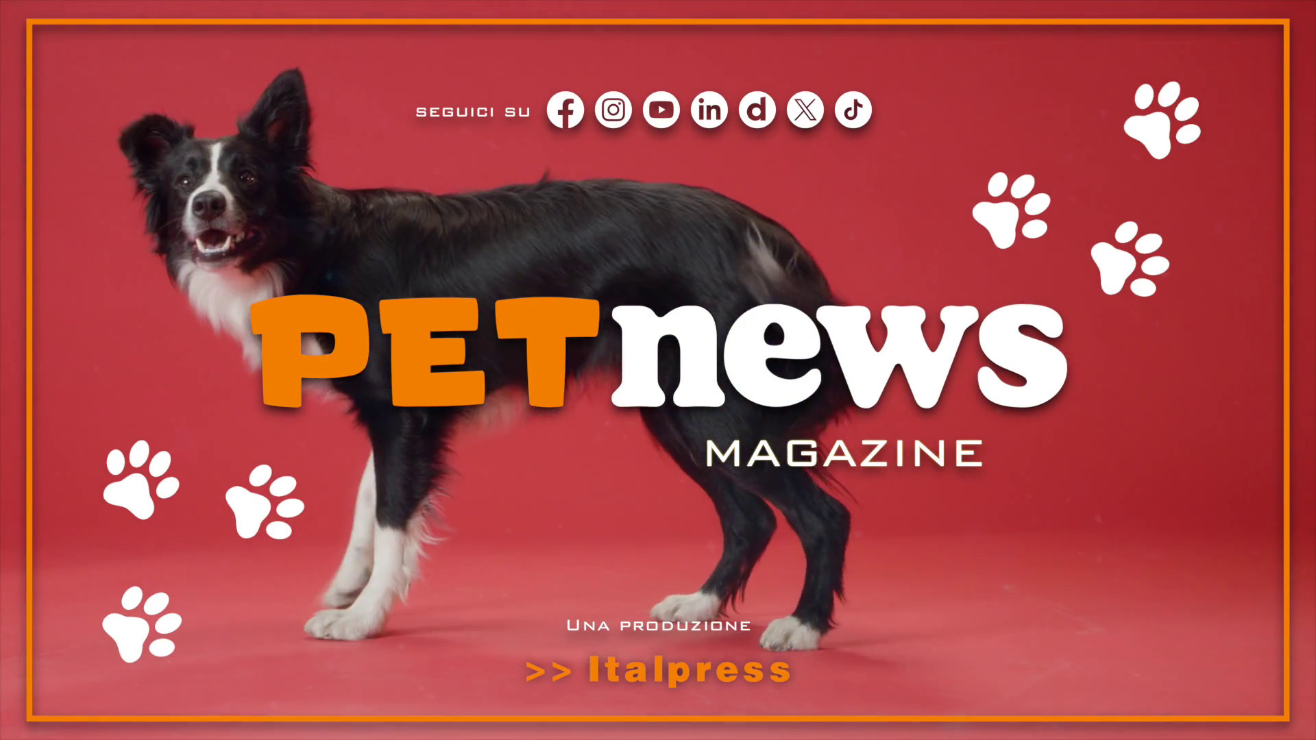 PetNews Magazine - 28/1/2025