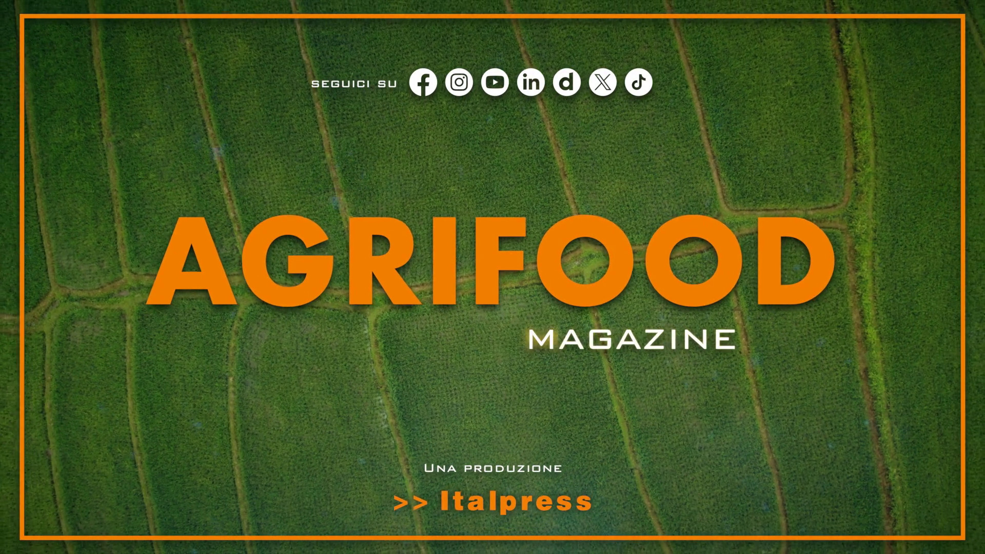 Agrifood Magazine – 20/11/2024