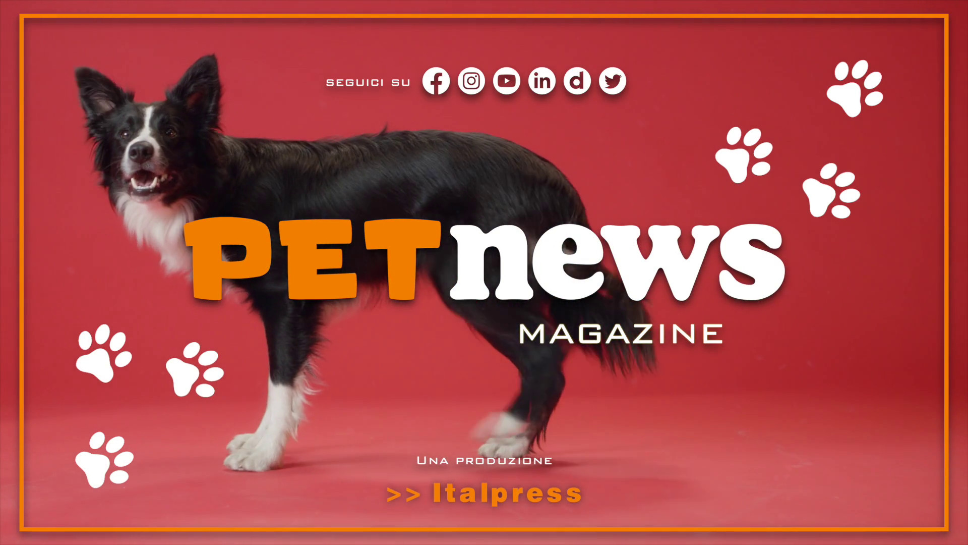 PetNews Magazine - 1/8/2023