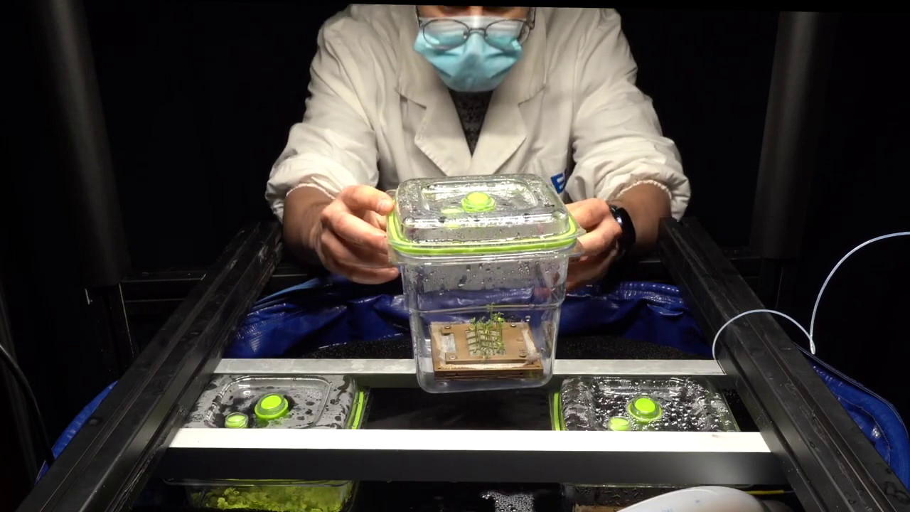 In orbita il primo micro-orto spaziale Made in Italy