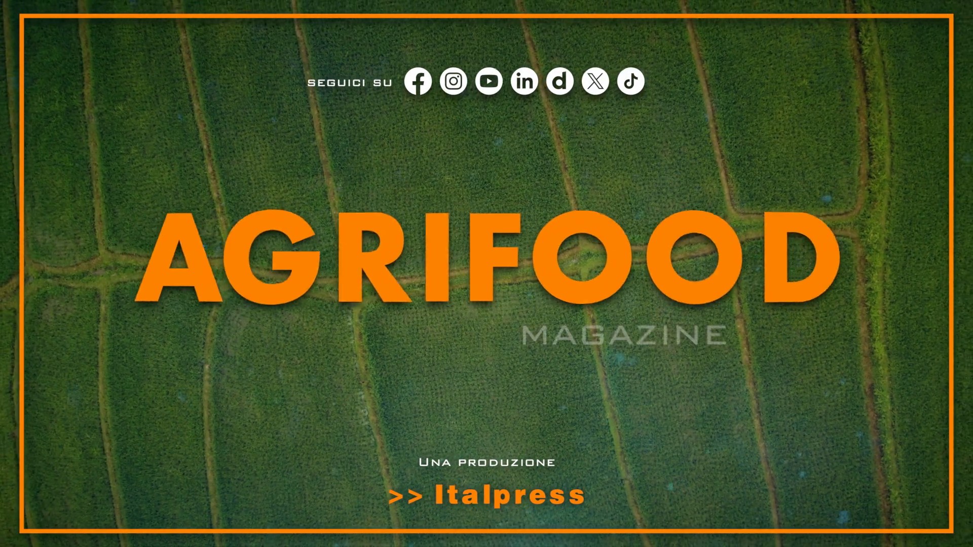 Agrifood Magazine - 16/9/2026