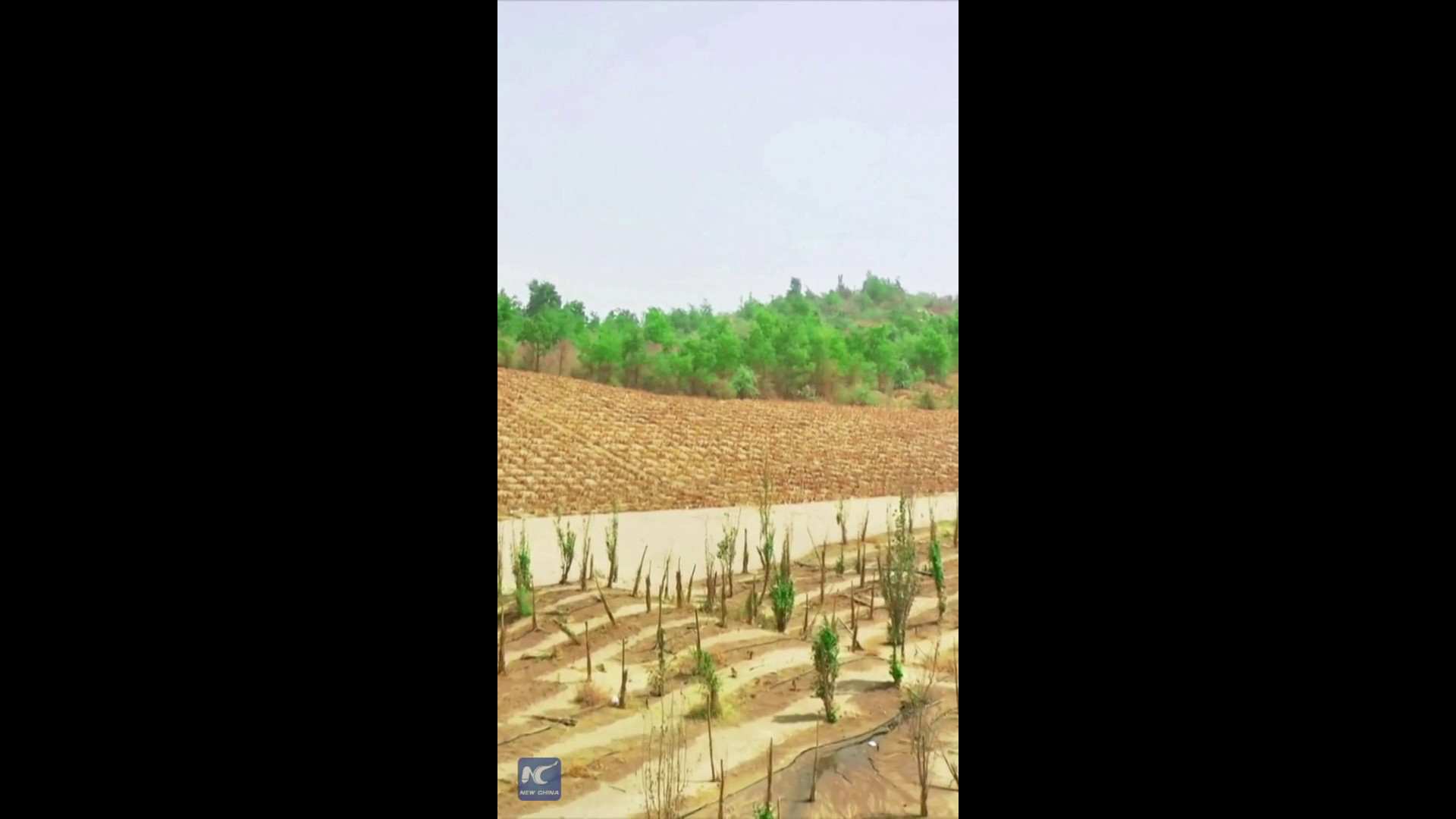 Cina, dalla sabbia ai campi fertili, il 