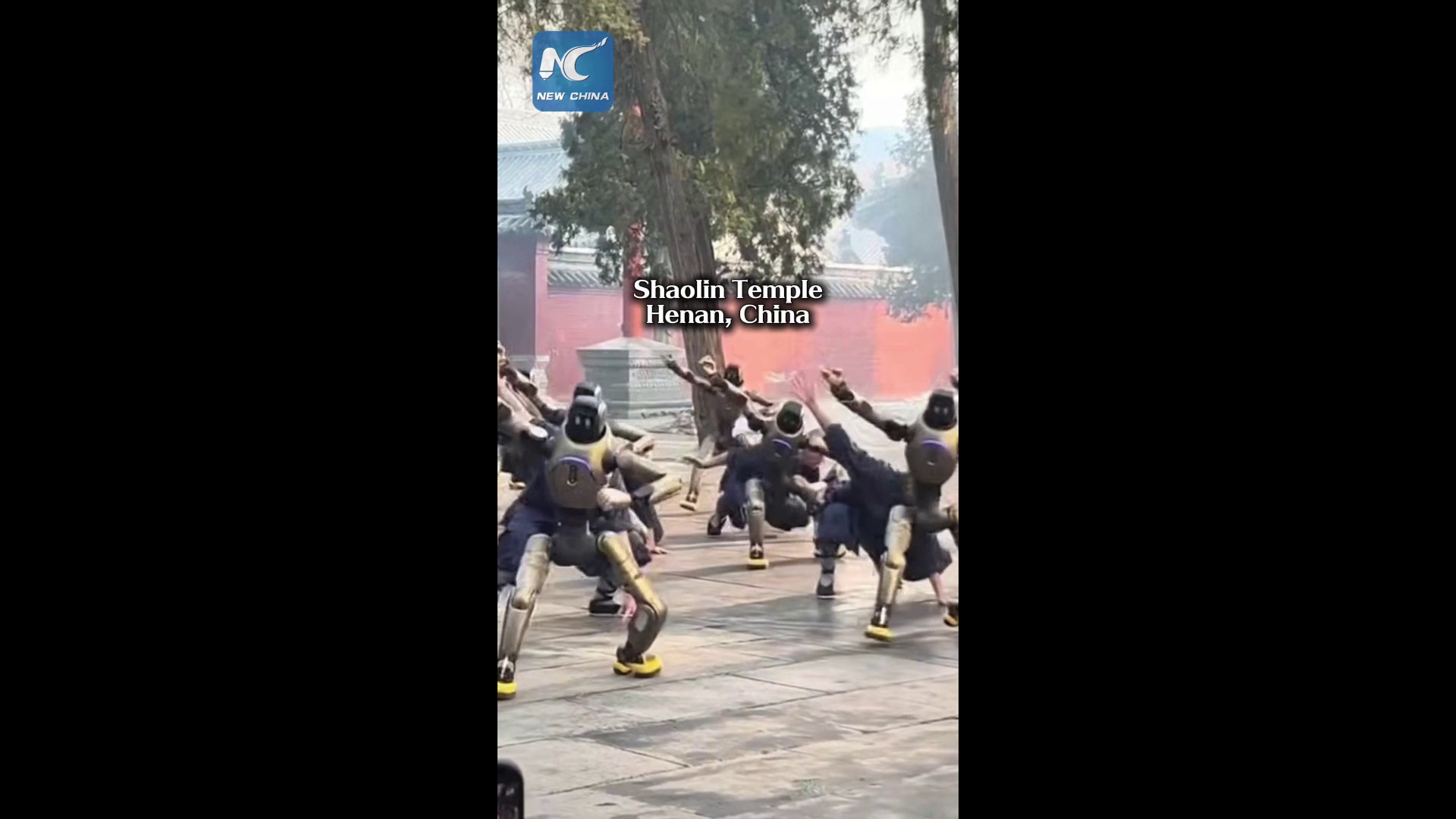 Cina: robot si allenano nel kung fu con monaci guerrieri Shaolin