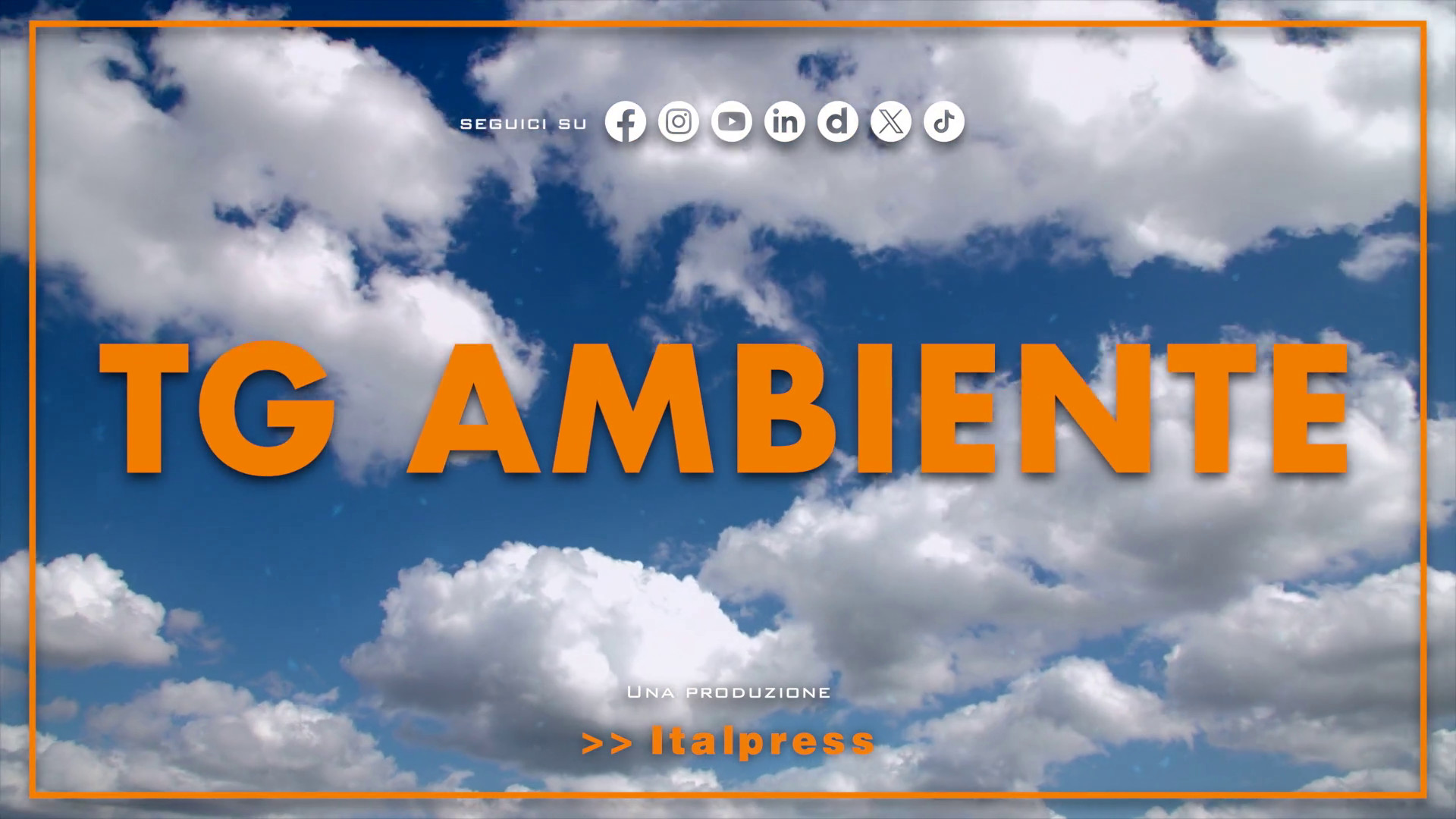 Tg Ambiente - 10/11/2024