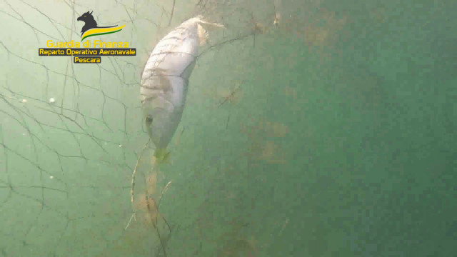 Pescara, individuate e sequestrate reti da pesca abusive