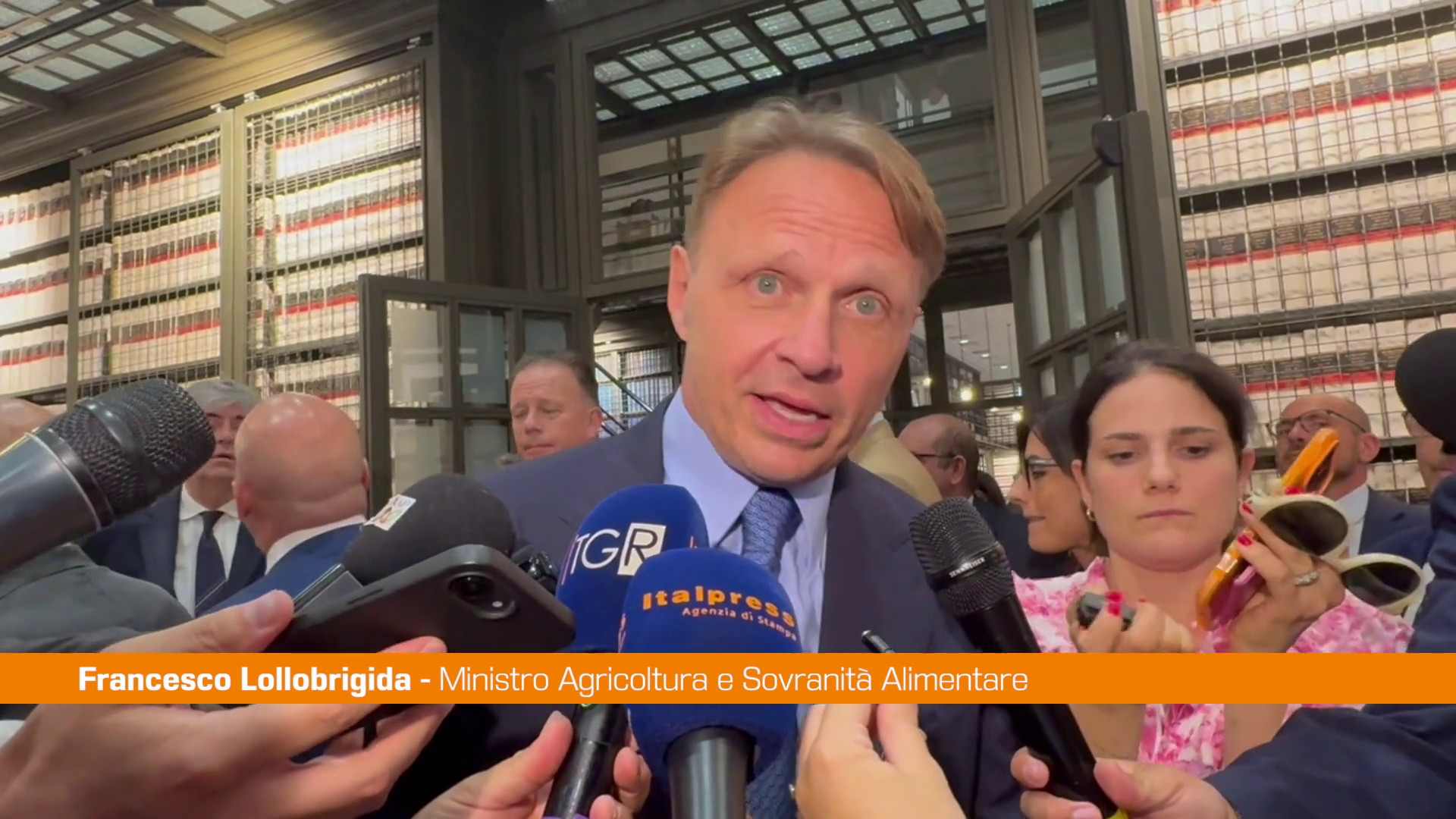 Lollobrigida 