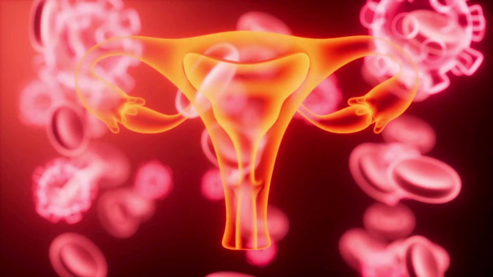 Un vaccino contro il tumore dell’endometrio