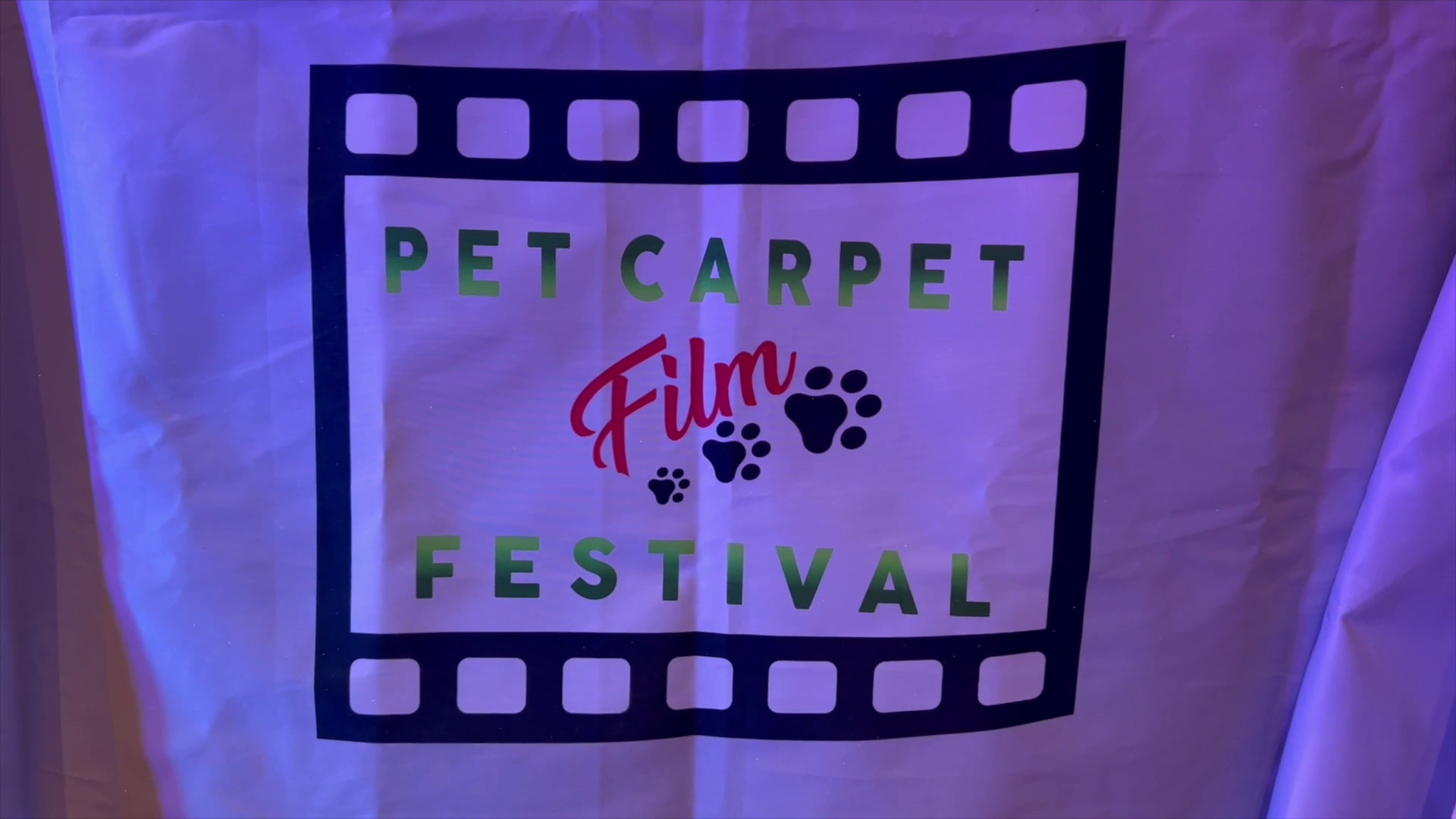 Successo per la terza edizione di “Pet Carpet. Un riciclo da Oscar”