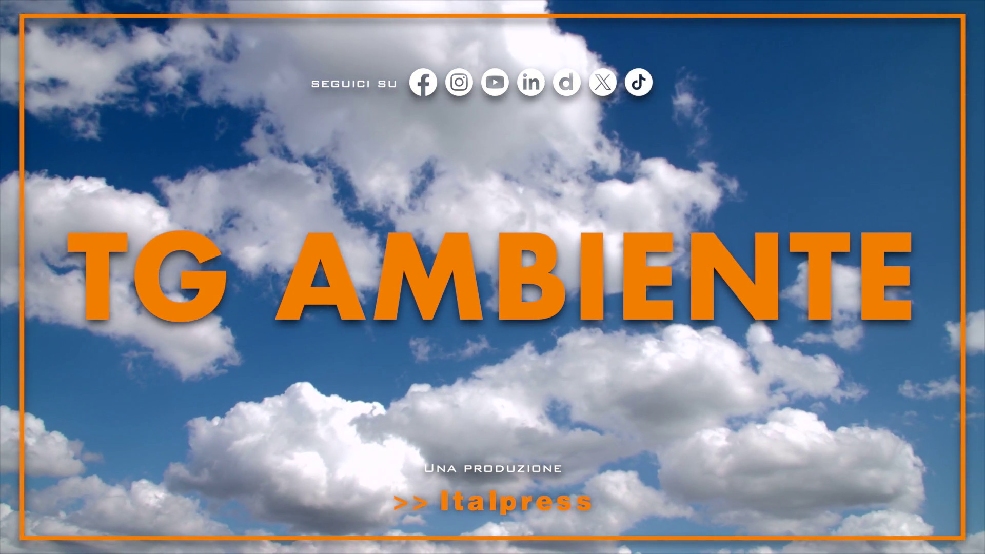 Tg Ambiente – 17/11/2024