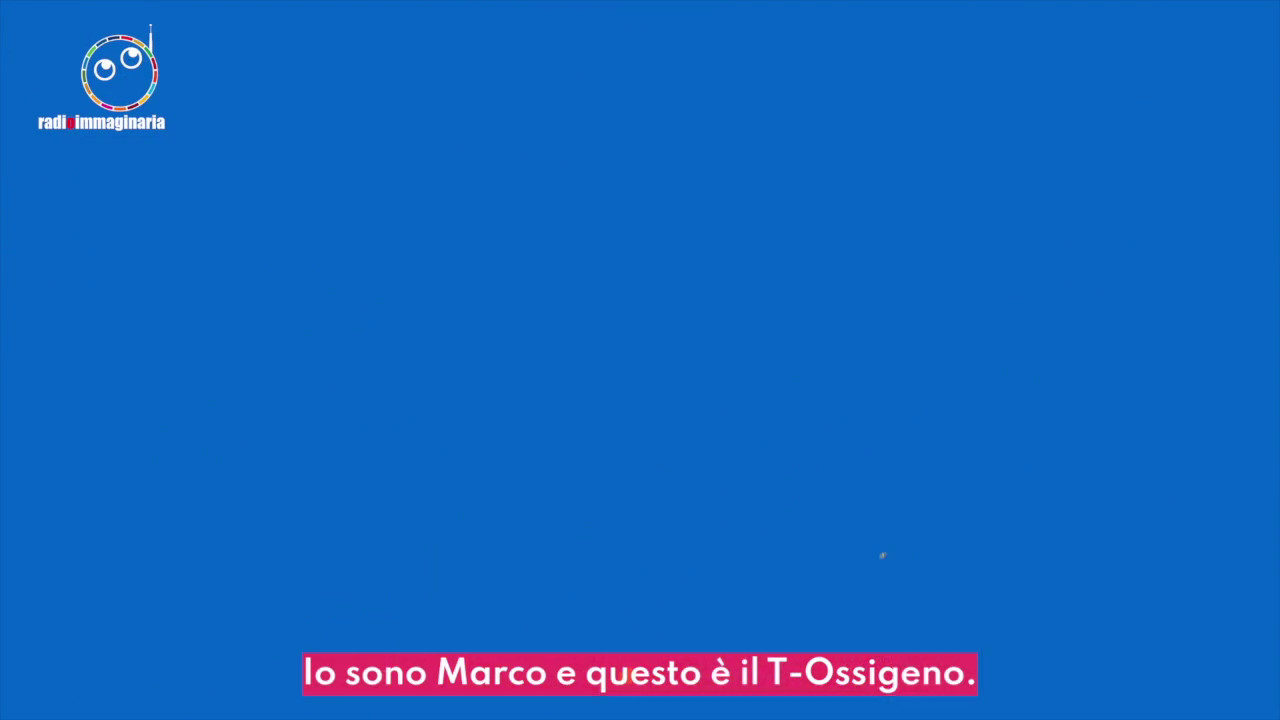Nel mare della Liguria tornano i cetacei