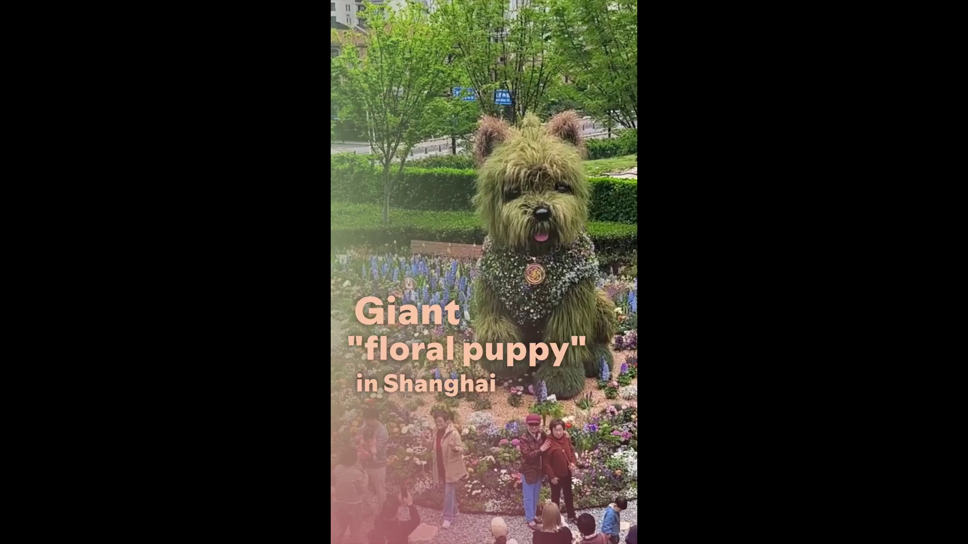 Cina, gigantesca scultura floreale ruba la scena alla Shanghai Int’l Flower Show