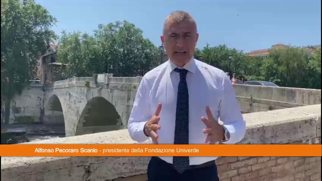 Pecoraro Scanio 