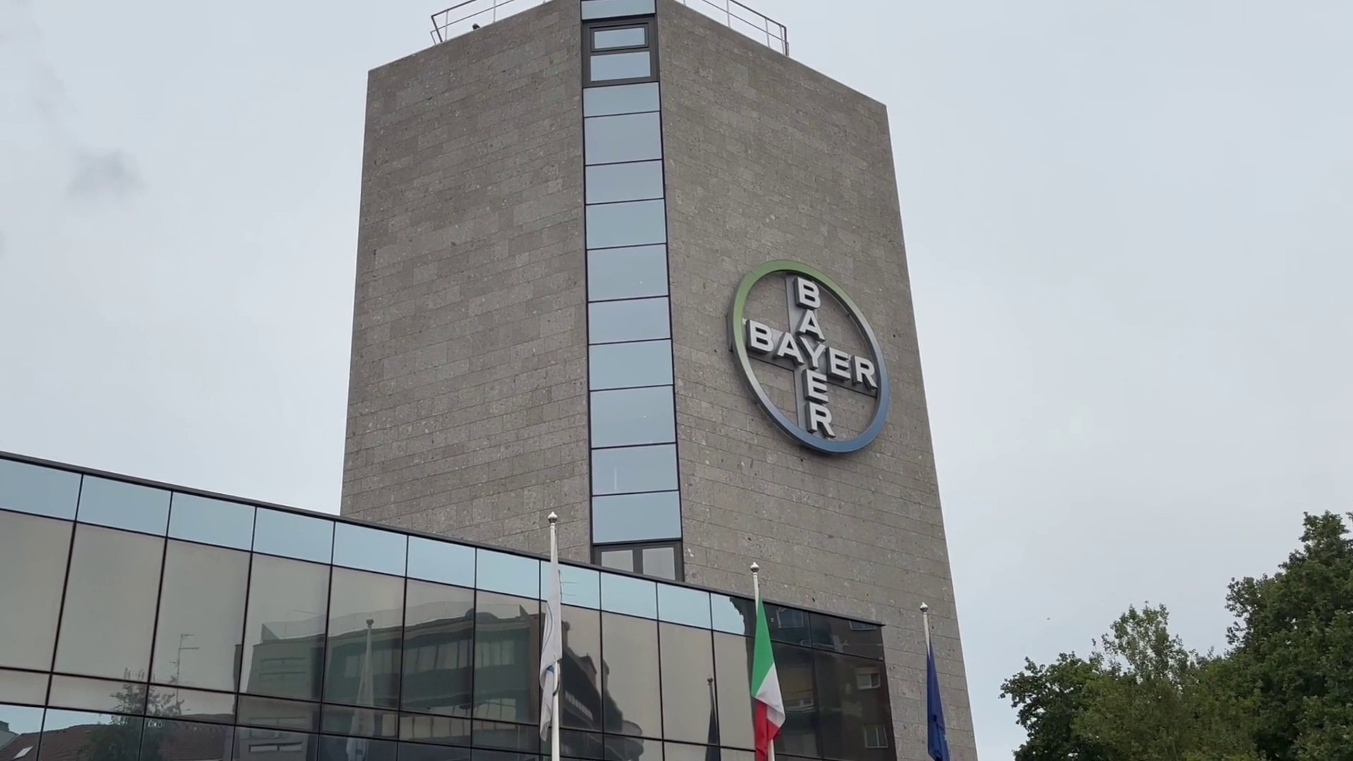 Froggy, da Bayer un supporto per i pazienti affetti da emofilia