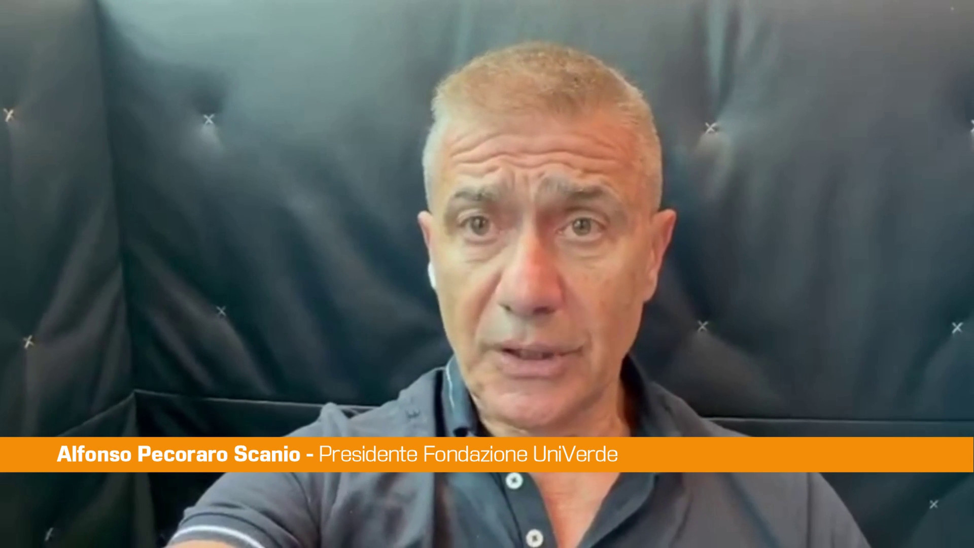 Pecoraro Scanio 