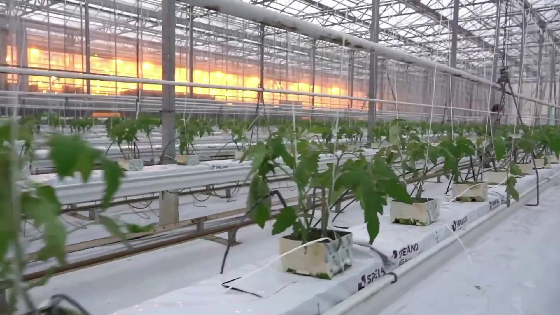 Sviluppo rurale, l'Italia ha speso il 99% dei fondi Ue