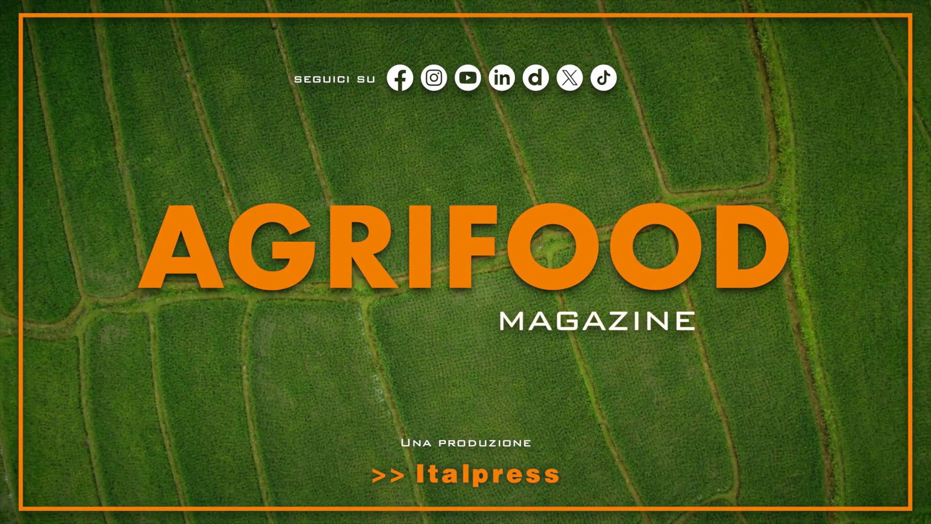 Agrifood Magazine - 12/3/2025